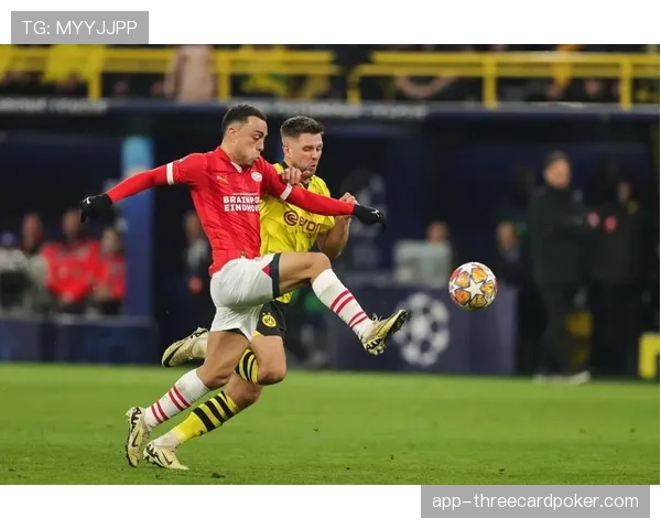 欧冠赛场侧记：多特蒙德主场“黄黑之墙”再现震撼TIFO，威斯特法伦气氛拉满